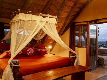 Luxury 7 night Safari